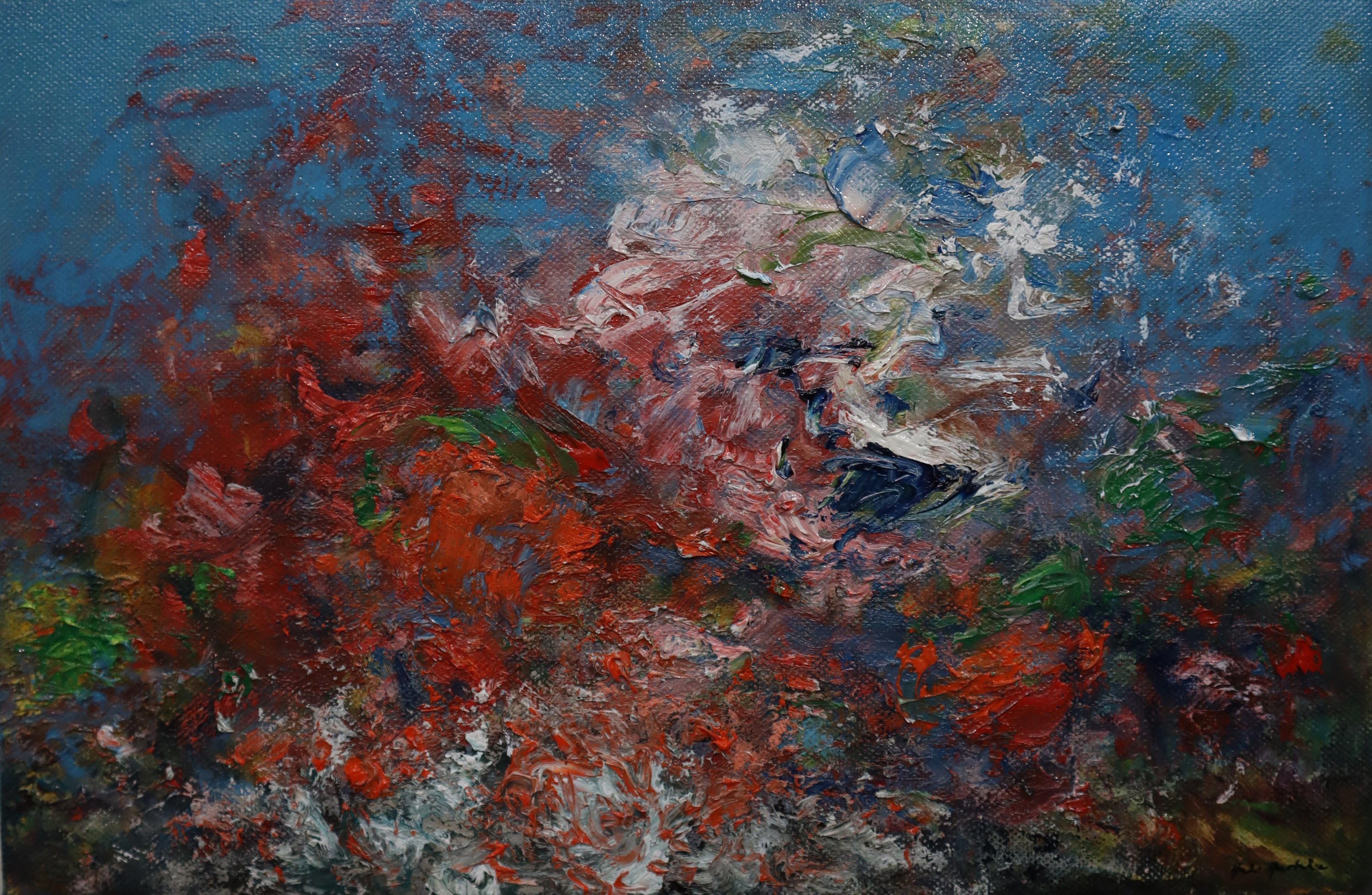 Corals (2025)